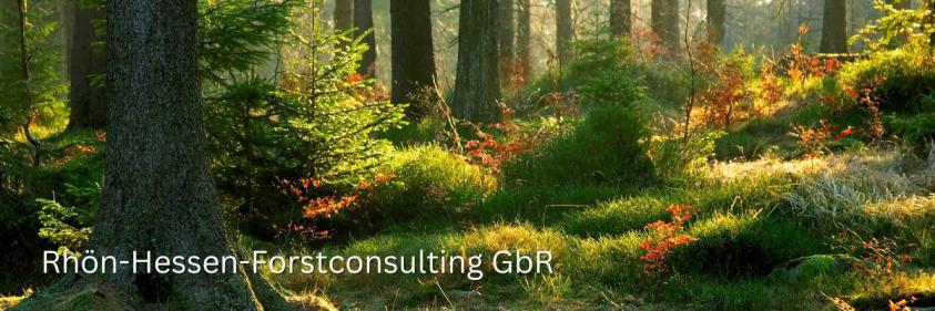 Homepage Rhön-Hessen-Forstconsulting GbR